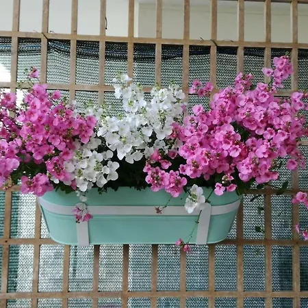 公寓 Casa Sul Mare Adriatico 卡瓦利诺